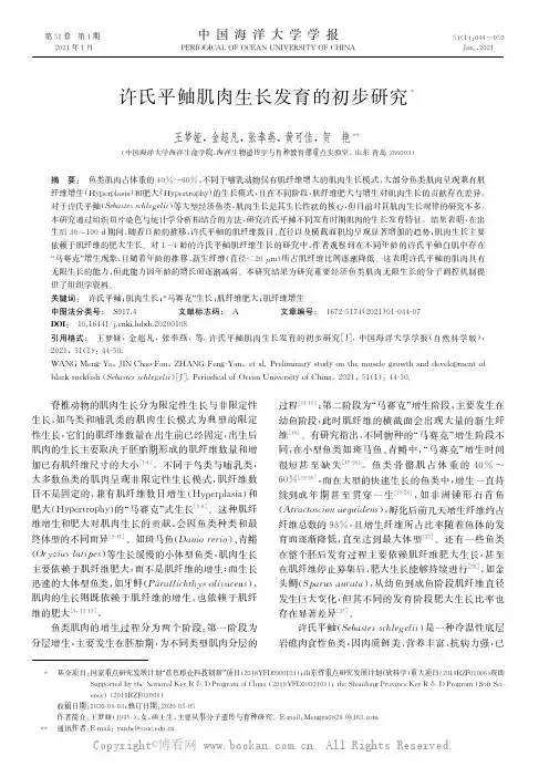 许氏平鲉肌肉生长发育的初步研究