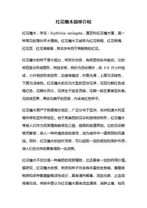 红花檵木简单介绍