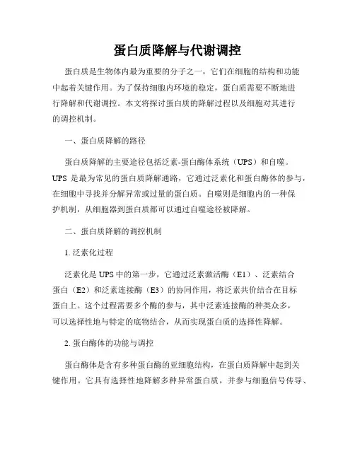 蛋白质降解与代谢调控