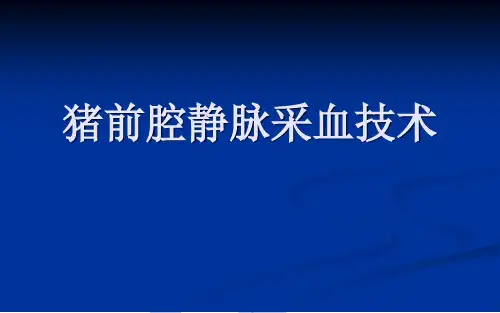 前腔静脉采血技术
