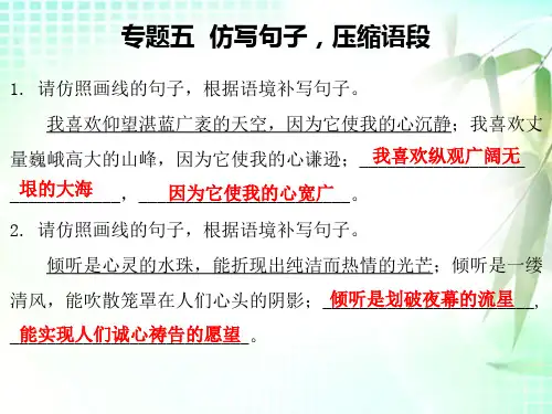 2019秋人教部编版九年级语文复习课件：专题五仿写句子,压缩语段(共34张PPT)