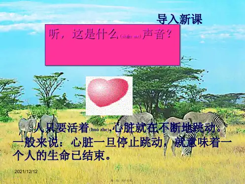 七年级生物下册 4.4.3 输送血液的泵——心脏(第1课时)汇报课