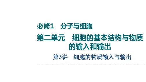 高考生物复习课件 第2单元 细胞的结构与物质的输入和输出 第3讲 细胞的物质输入与输出