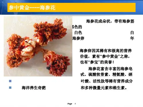 海参花