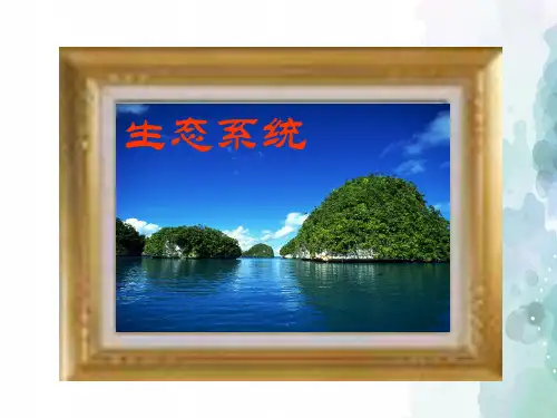人教版生物-七年级上册-2.2 生态系统 精品课件
