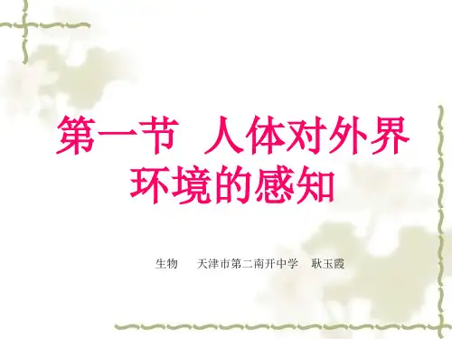 眼与视觉PPT       眼与视觉动画
