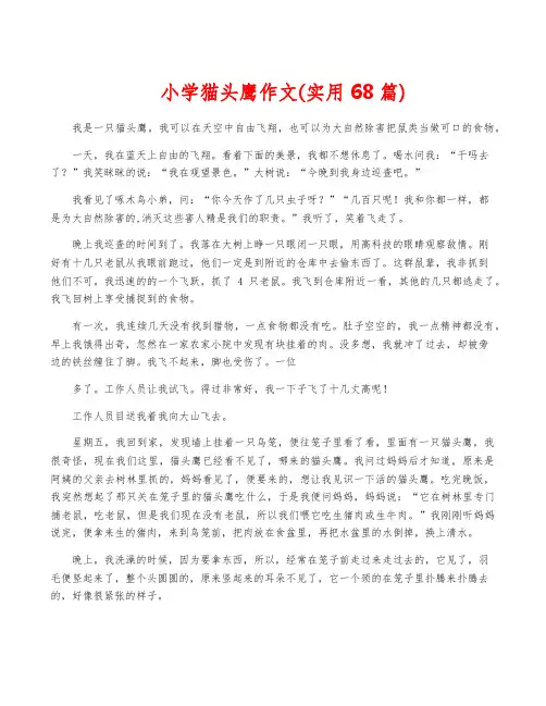 小学猫头鹰作文(实用68篇)