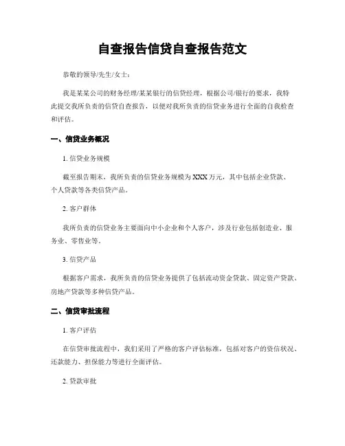 自查报告信贷自查报告范文
