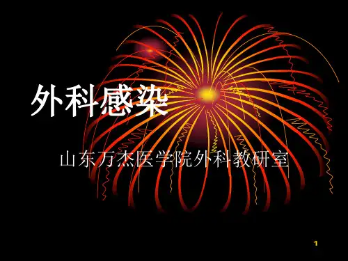致病菌金黄色葡萄球菌临床表现甲沟炎PPT课件