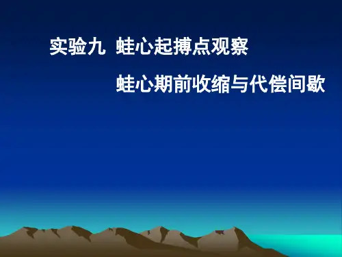 《动物生理学》实验课件：实验九 蛙心起搏点观察  蛙心期前收缩与代偿间歇