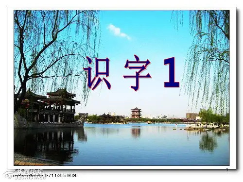 人教版一年级下册语文识字1PPT课件