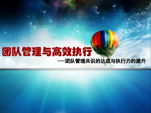 团队管理与高效执行培训
