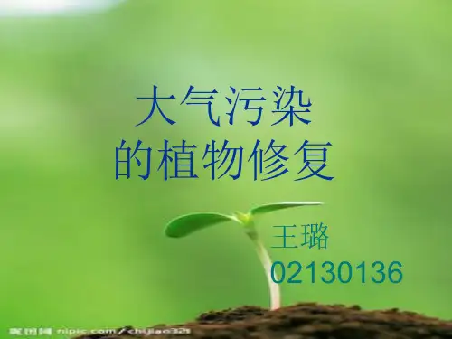 大气污染的植物修复