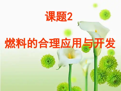 人教版化学九年级上册第七单元课题2《燃料的合理利用与开发》(共44张PPT)