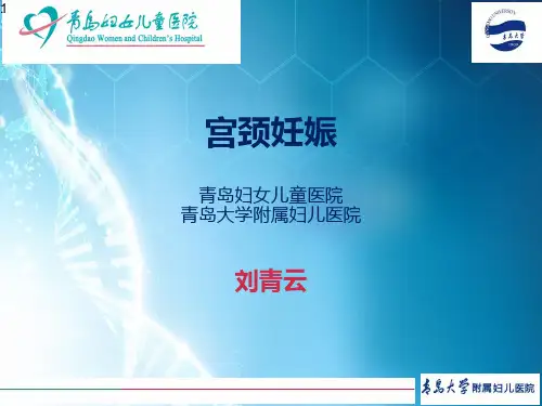 宫颈妊娠ppt课件