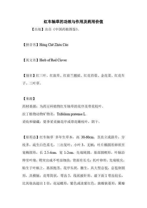 红车轴草的功效与作用及药用价值