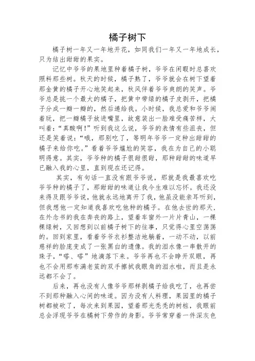 九年级学生作文《橘子树下》