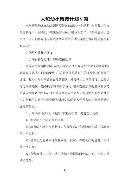 大班幼小衔接计划5篇