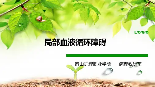 肺淤血肝淤血