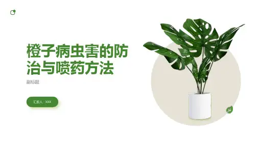 橙子病虫害的防治与喷药方法