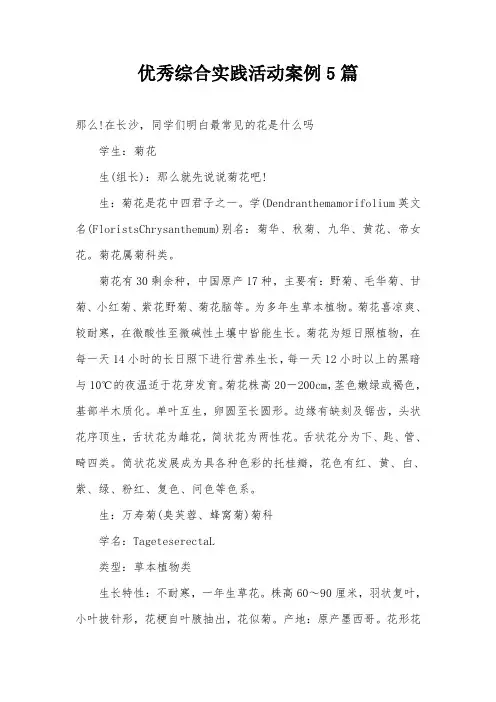 优秀综合实践活动案例5篇