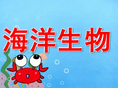 大班科学《海洋生物》课件