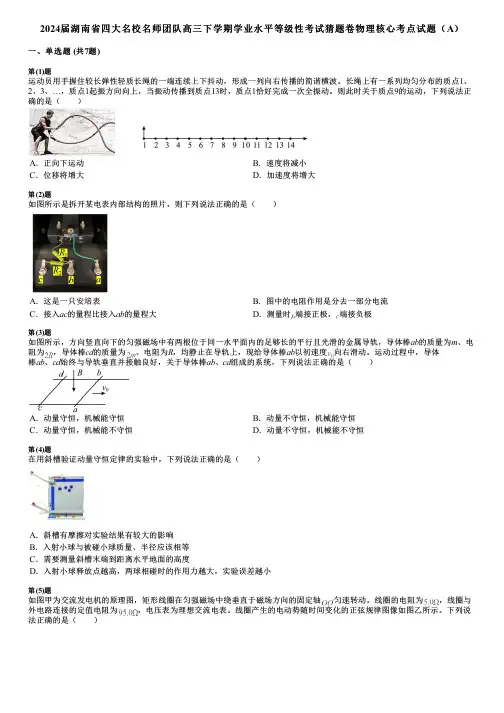 2024届湖南省四大名校名师团队高三下学期学业水平等级性考试猜题卷物理核心考点试题(A)