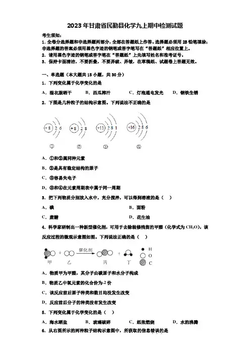 2023年甘肃省民勤县化学九上期中检测试题含解析