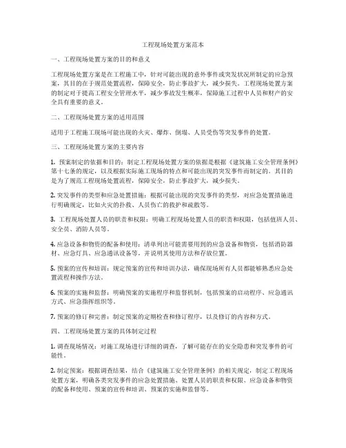 工程现场处置方案范本