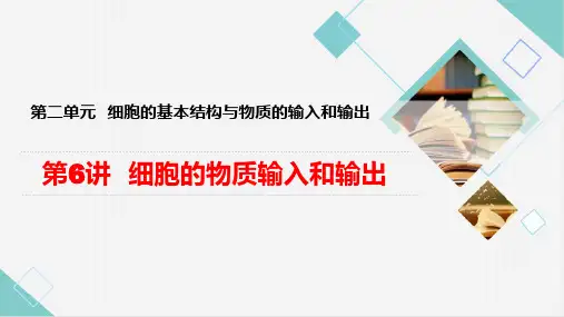 细胞的物质输入和输出-高考生物一轮复习高效备考课件(新高考专用)