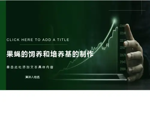 果蝇培养基的制作