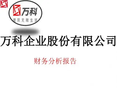 某公司财务报告与战略管理知识分析(PPT94张)