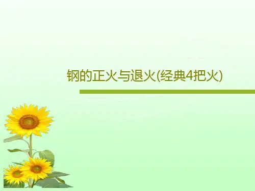 钢的正火与退火(经典4把火)22页PPT