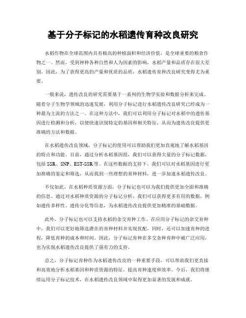 基于分子标记的水稻遗传育种改良研究