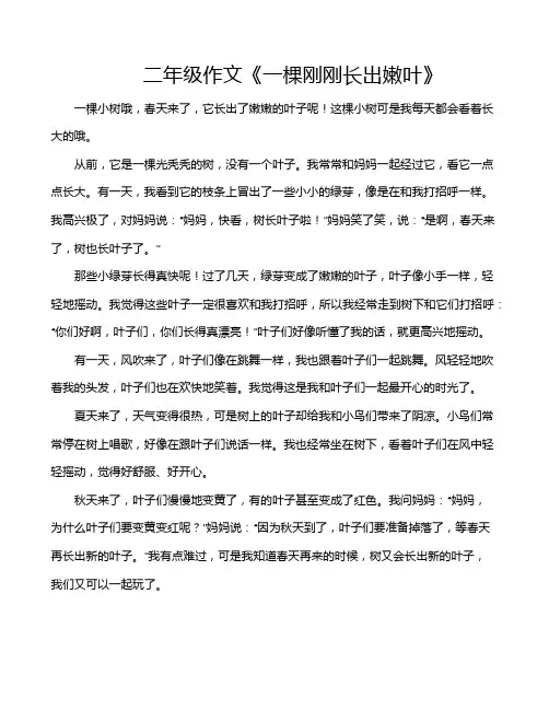 二年级作文《一棵刚刚长出嫩叶》