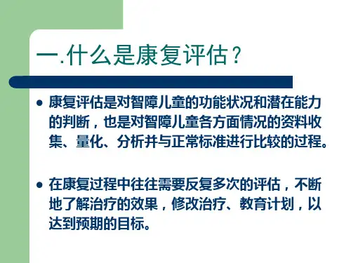 智障儿童的学习能力评估2