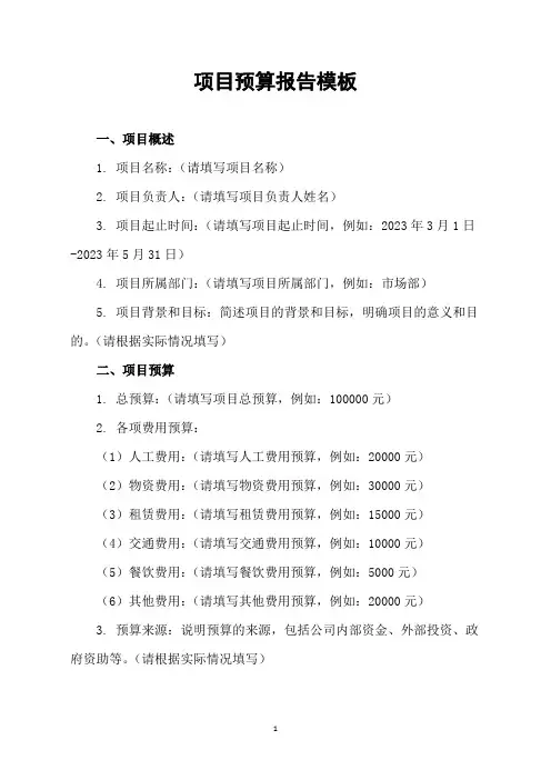 项目预算报告模板