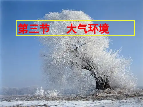 最新2019-湘教版高中地理必修一第二章第三节《大气环境》优质课件(共51张PPT)-PPT课件