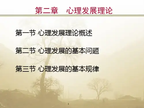 精品课程心理林崇德教授心理发展理论ppt课件