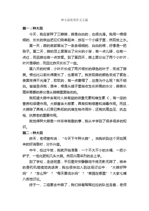 种大蒜优秀作文五篇_状物优秀作文_