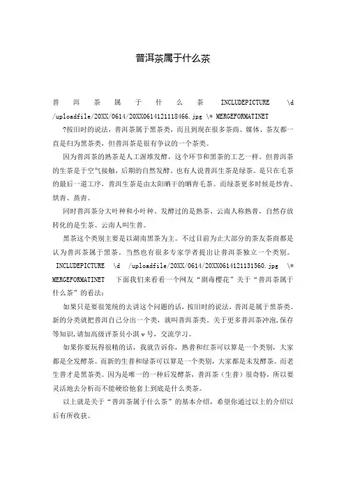 普洱茶属于什么茶