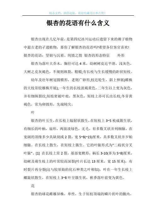 银杏的花语有什么含义