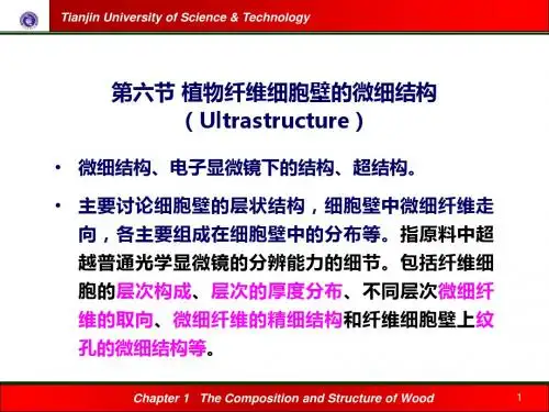 六节植物纤维细胞壁的微细结构ppt课件-文档资料