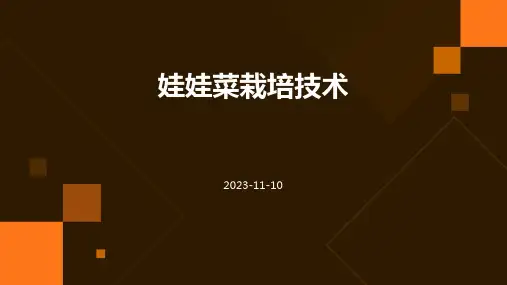 娃娃菜栽培技术