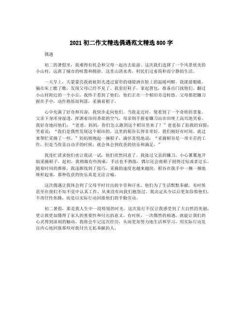 2021初二作文精选偶遇范文精选800字