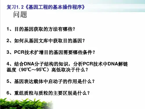 人教版高中生物选修3专题一：基因工程的应用实用课件