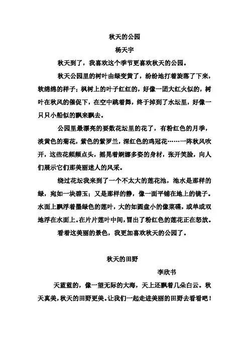 秋天的公园.