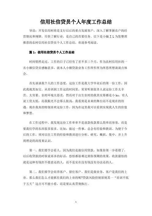 信用社信贷员个人年度工作总结