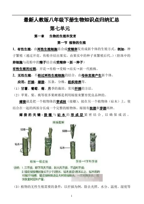 人教版八年级生物下册知识点归纳汇总