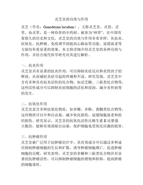 灵芝皇的功效与作用